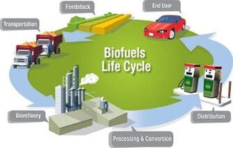 Bio Fuels - TOTAL GROUP